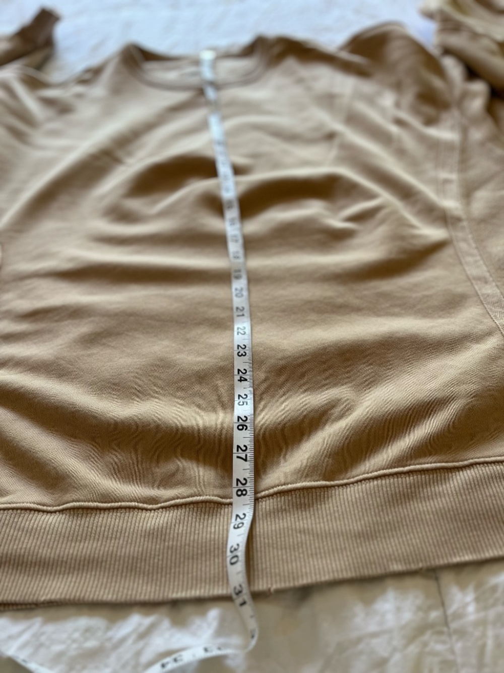 Aerie Women's Tan Oversized Crewneck Sweatshirt, 2X Plus Size - Picture 14 of 16